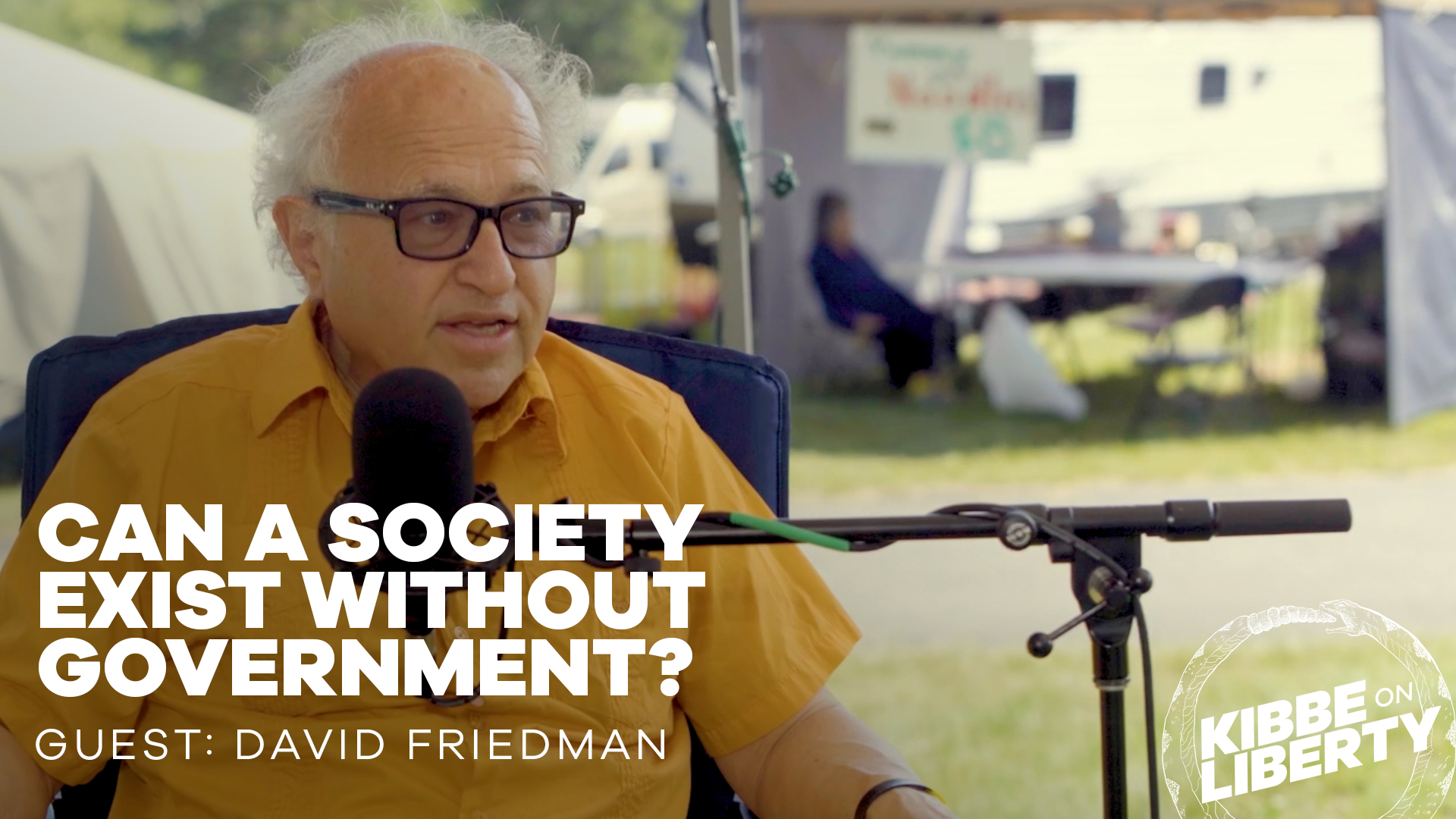 Can a Society Exist Without Government? Guest David Friedman Ep 189