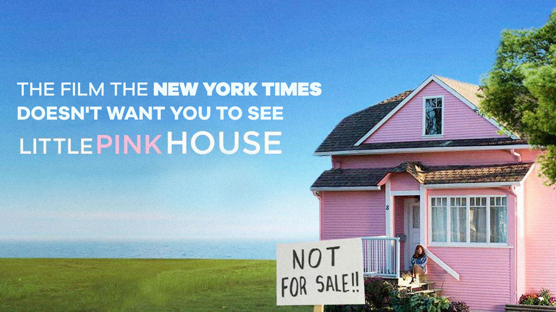 little pink houses of america review